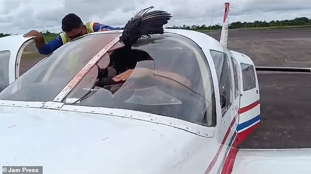 Photos taken after the plane landed showed a gaping hole in the left side of the plane's windshield.