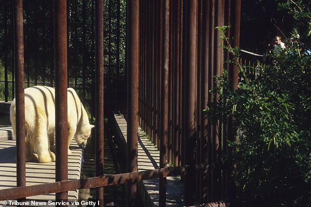 Binky sadly died in 1995 after a suspected parasitic infection.