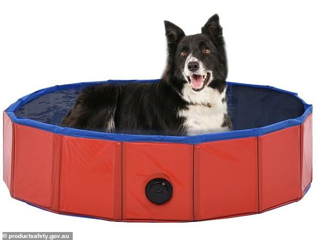 VidaXL Folding Dog Pool Poses a Drowning Hazard for Children Even if It's Shallow