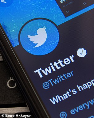 Twitter launched in 2006, with posts or 'tweets' similar to bird chirps.