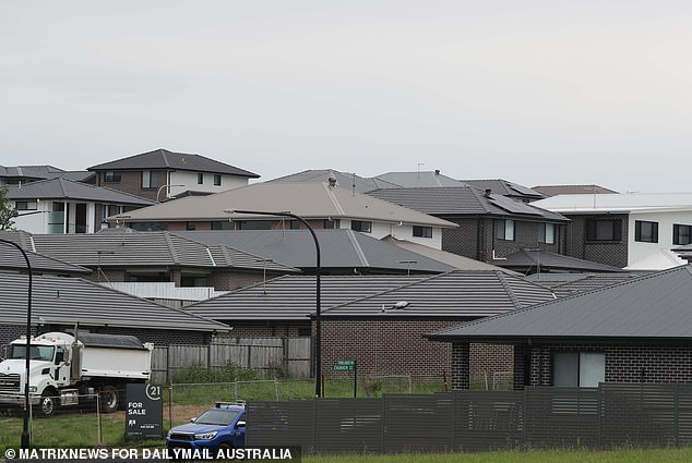 Academics say the masses of black roofs in urban developments create a 