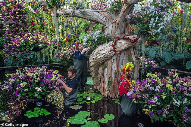 Scientists at Kew Gardens (pictured is an orchid display held earlier this year at the site) are trying to fight the illegal plant trade.