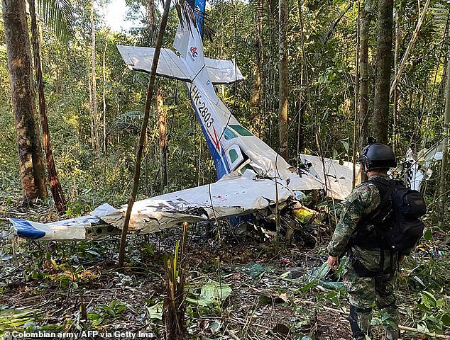 The Cessna crashed into the dense jungle in southern Colombia, killing all three adults on board, but the four children all miraculously survived.