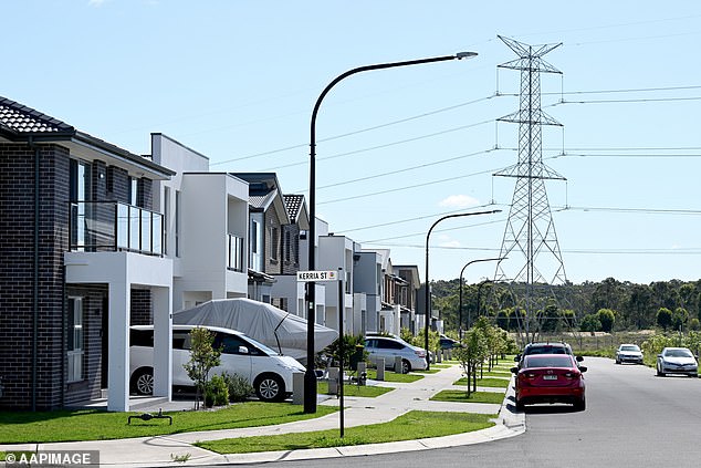 He added that similarly mass-built homes left the new suburbs with less character than suburbs closer to Sydney's CBD (file image)