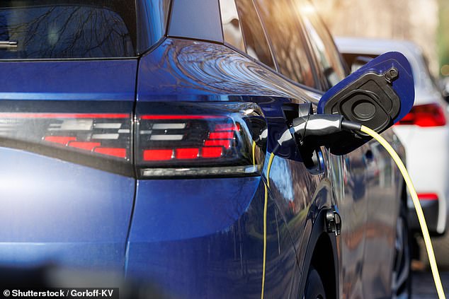 In the month of November, dealers sold, on average, an electric vehicle in just 33 days after adding it to their service stations, according to cap hpi.