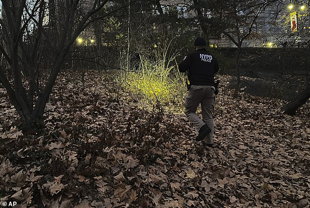 A New York City police officer walks through bushes and foliage in Central Park as he searches for a backpack dropped in the park by the person suspected of killing Thompson on Wednesday