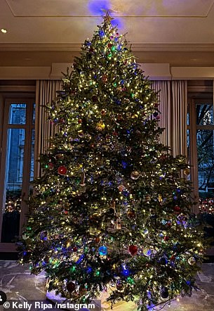 Last year, Ripa's extra-wide Christmas tree reached to the top of the roof (seen above)