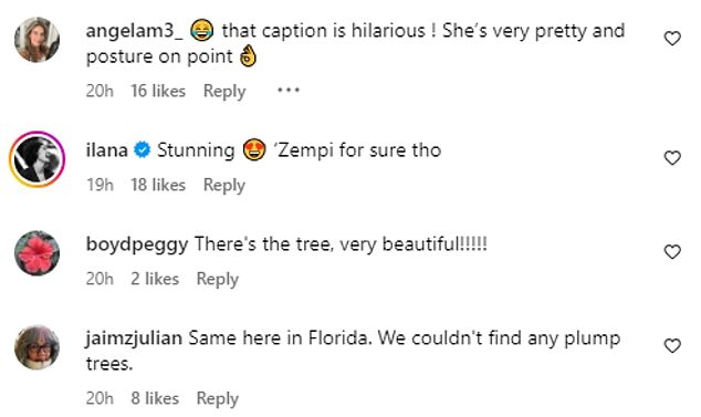 Another agreed with Ripa that her tree looked like it was in Ozempic 