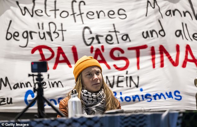 Thunberg has previously been criticized for her pro-Palestine stance by Jewish groups.