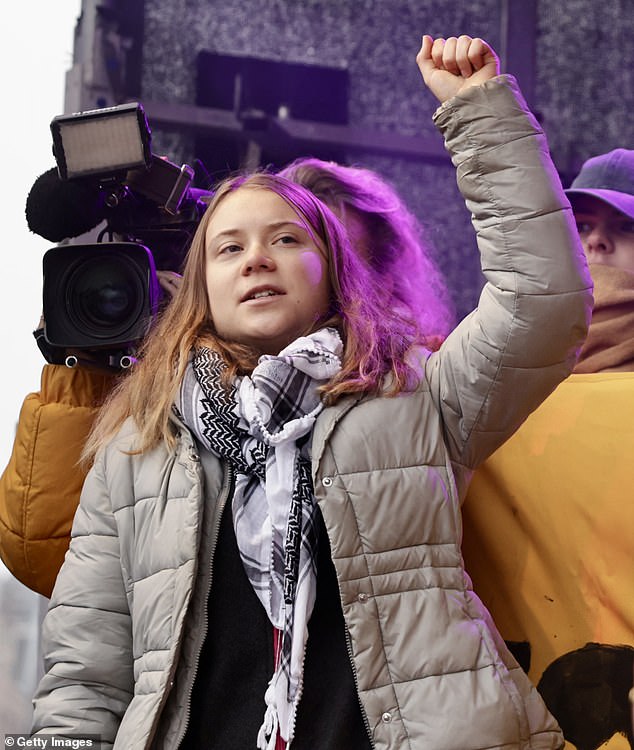 Thunberg accused 