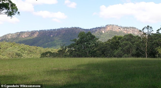 Police will allege Dempsey was taken to Bago Bluff National Park (pictured) and shot