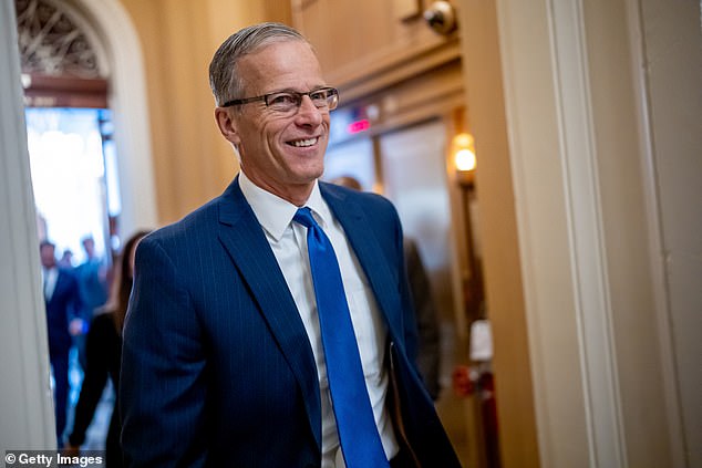 Last month, Senator John Thune, 63, was chosen to replace McConnell and usher in Donald Trump's ambitious agenda with a new Republican majority