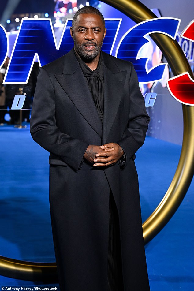 Idris voices Knuckles The Echidna in the film.