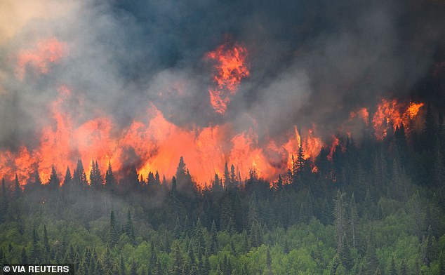 Fires scorched 42.7 million hectares of land in Canada due to out-of-control blazes in 2023, leaving much of the US covered in smog