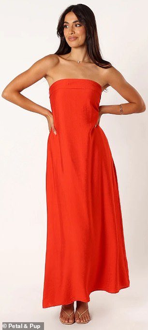 $54 Archer Strapless Maxi Dress by Petal & Pup