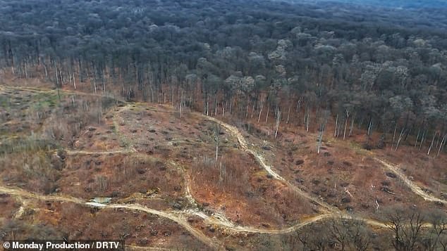 Huge scars caused by large machine footprints can be seen at all five Ikea-owned locations