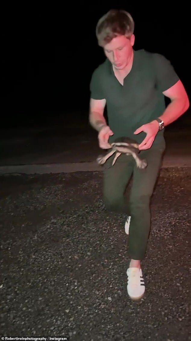 The Wildlife Warrior, 21, took to Instagram to share the rescue of a freshwater turtle that got stuck on a road. Wearing a green mesh knit shirt with short sleeves, his muscular biceps and forearms were on prominent display.