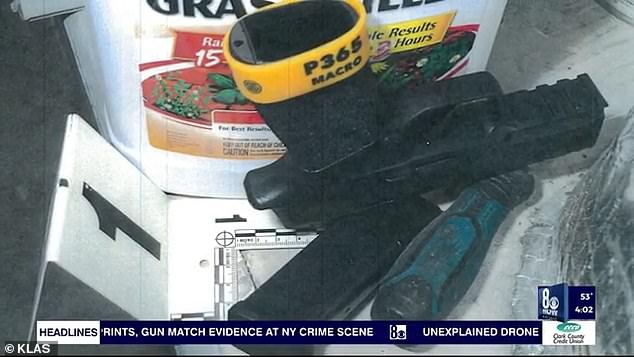 Prosecutors released this image of a gun found near the car where Anastasiya's body was found