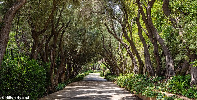 The home features a resort-style pool, an olive tree-lined driveway, and even its own servants' quarters for staff. It spans over 19,000 square feet and sits on 1.35 acres of land.