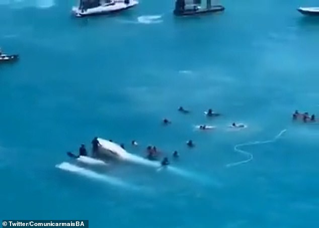 The passengers were heading to a natural pool near Barra Grande Beach when their catamaran sank