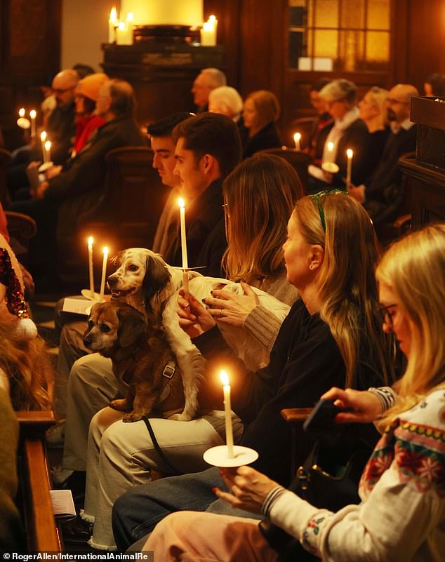 Dogs sit on their owners' laps while the carol service is performed.