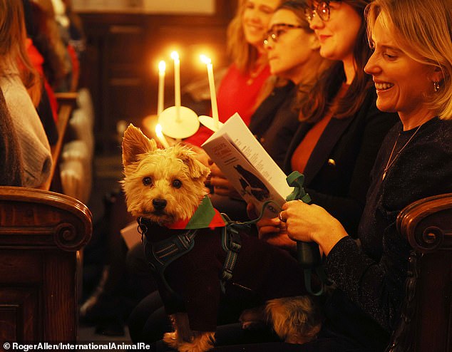 A woman smiles as her dog poses for the camera.