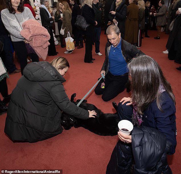 A black Labrador can't help but receive all the puppy love from those attending the service.