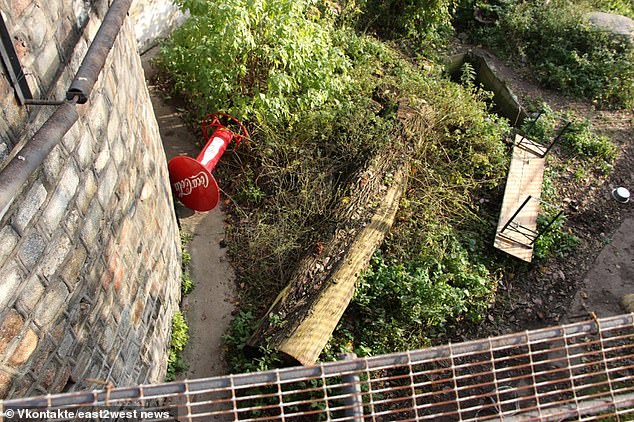 The guests managed to distract the big cat by throwing stones, sticks, a table and a bench from a cafe near the enclosure, allowing the keeper to escape.