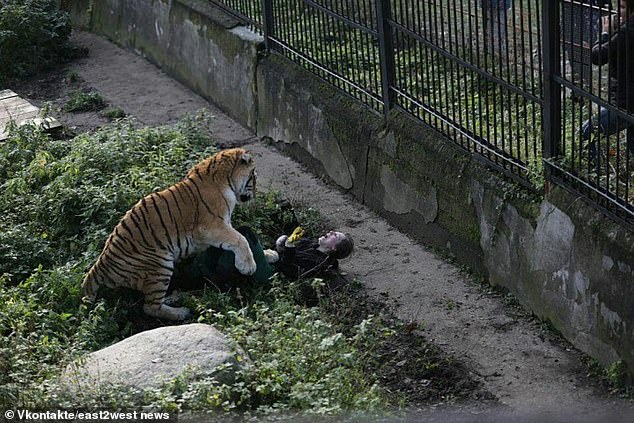 Horrified visitors watched as Typhoon dragged the woman to the ground and began attacking her.