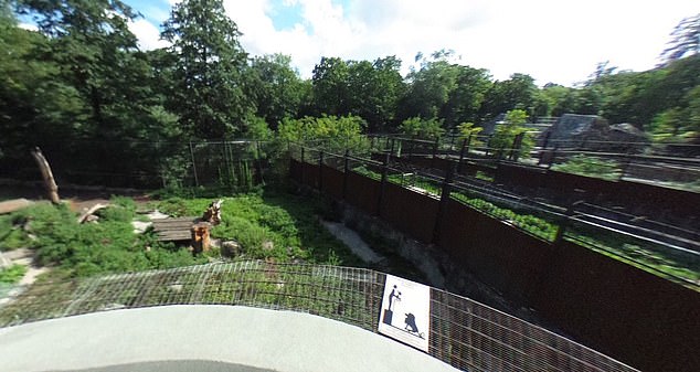 Zoos have warnings not to lean over barriers