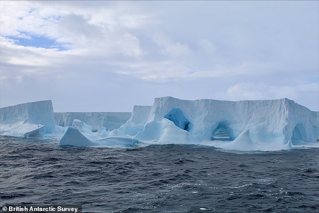 The iceberg originally broke off from Antarctica's Filchner Ice Shelf in 1986. It then remained anchored to the seafloor of the Weddell Sea, before beginning its slow journey north in 2020.