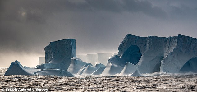 The megaberg has been stranded on the seafloor for more than 30 years and recently began spinning in place. Now, experts from the British Antarctic Survey (BAS) have confirmed that A23a has finally broken free from its position north of the South Orkney Islands.