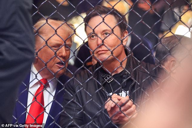 Trump and Musk sit together during the UFC fight in New York City on November 16