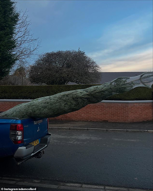 In another snapshot, the physical trainer showed his impressive Christmas tree.