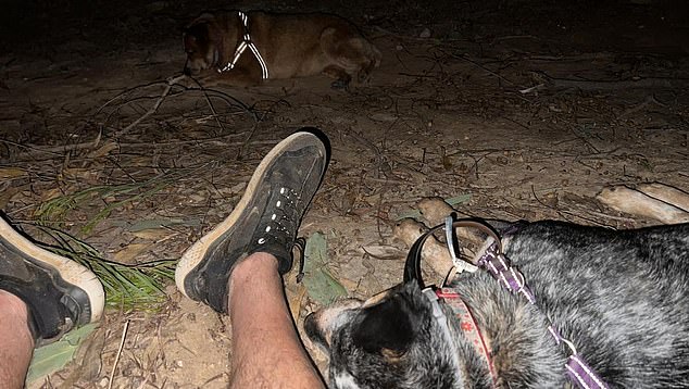 The couple and their two dogs (pictured) were trapped in their flooded 4x4 but escaped with moments to spare.