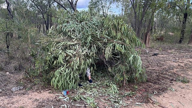 The couple survived by building a makeshift shelter out of branches and leaves and drinking muddy flood water.