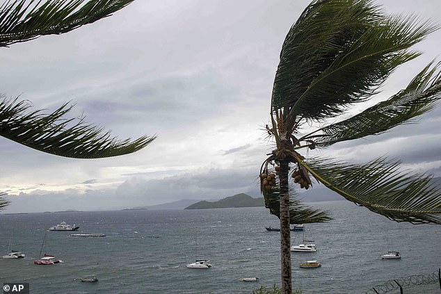 This photo provided Sunday, Dec. 15, 2024, by the French military shows palm trees during strong winds in the French territory of Mayotte in the Indian Ocean.