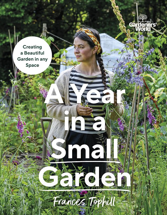 A Year in a Small Garden by Frances Tophill (£26, BBC Books)