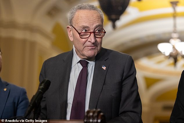 Senate Minority Leader Chuck Schumer – who represents New York – made the request on Sunday