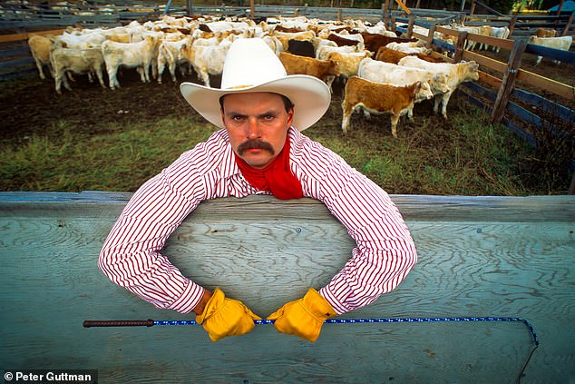 A cattle herder in Marion, Montana.