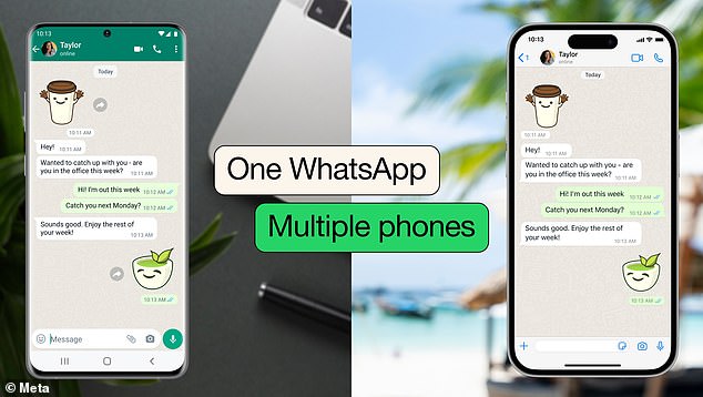 Social apps like WhatsApp (pictured) and Instagram allow multiple devices to log into the same account, which may help the dual phone phenomenon.