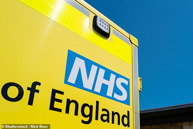 NHS England has said delivery delays are a risk to patients and also compromise care in the community (file image)