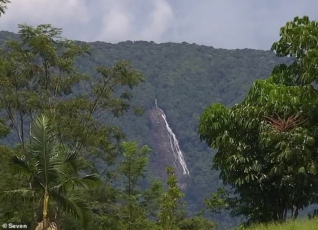 The trekking route to Babinda Falls (pictured on Monday) can be 