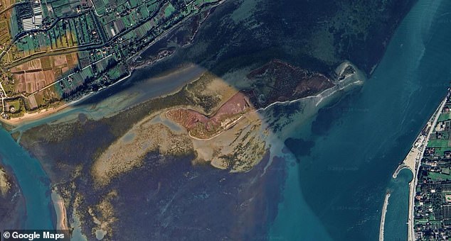 However, the island's formation could be a sign that flood defenses are preventing storm surges from carrying sediment into nearby mudflats. This could cause the collapse of this vital ecosystem, which stores 30 times more CO2 than a forest of the same size.