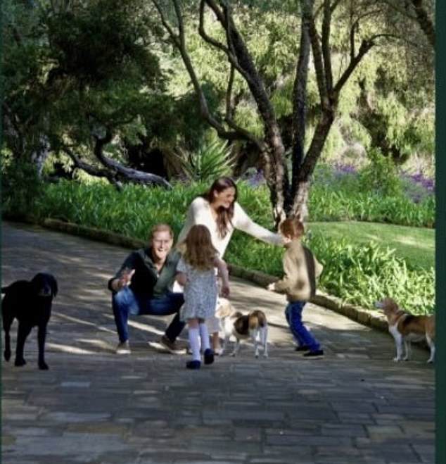 A close-up of the Sussexes' family photo, which also features their three canine companions.