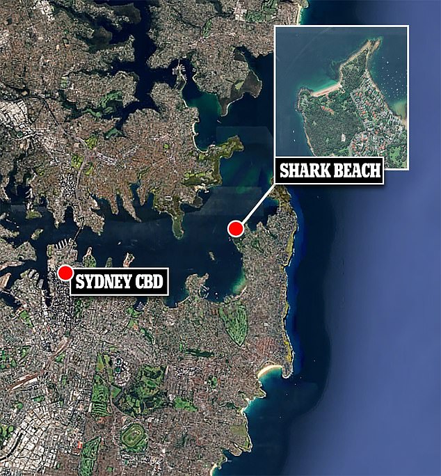 Shark Beach, also known as Nielsen Park, lies on the shores of Vaucluse in the city's leafy eastern suburbs.