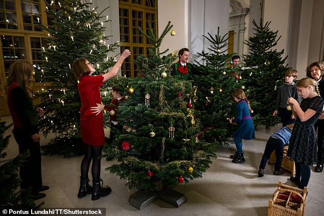 Eldest granddaughter Estelle, daughter of Crown Princess Victoria and Prince Daniel, was holiday-ready in a bright red shirt with a matching skirt. She can be seen listening to an ornament being hung on one of the four Christmas trees that were delivered to the palace.