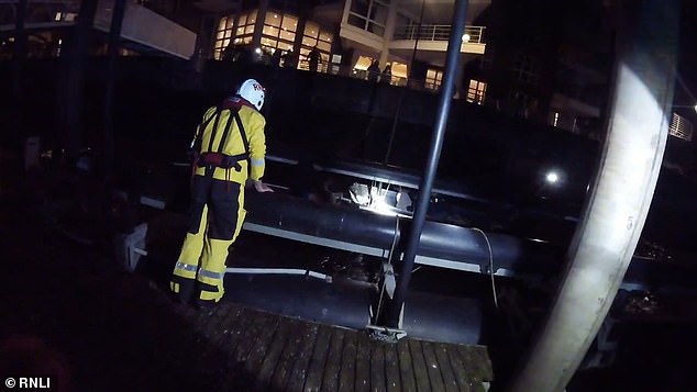 Members of the public helped by shining telephone flashlights on the star to help the lifeboat locate him and quickly helped him and the dog into their boat.