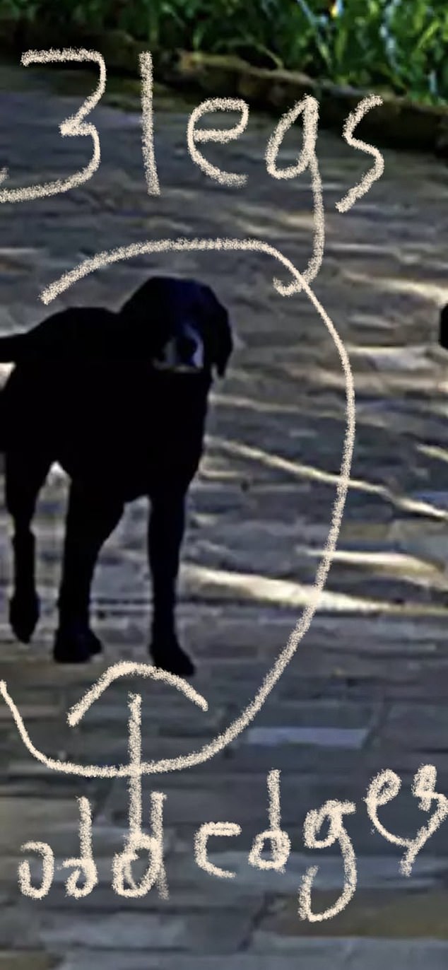 A social media user circled one of the couple's dogs and said it looked like it had three legs