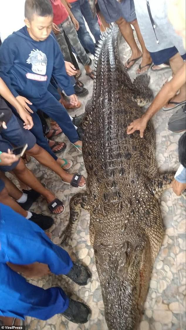 The crocodile was later caught and shot dead by concerned locals